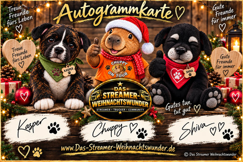 DSW Autogrammkarte ♥ Kasper, Chuppy & Shiva – Das Streamer Weihnachtswunder 2026